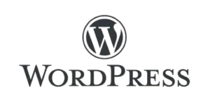 wordpress-digital-marketing-expert-Qatar